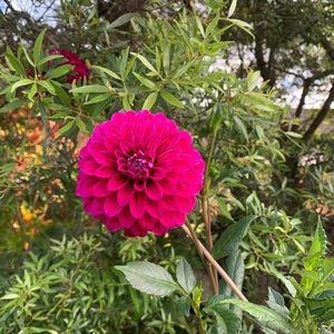 Meet your Posher, Catherine